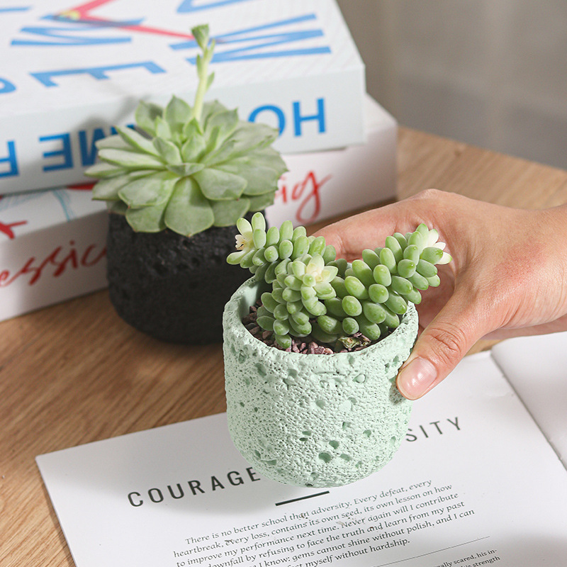 Creative Round Concrete Flower - Potsticker Mold ulasan dan harga