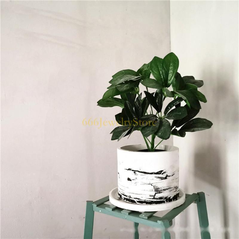 F2TD Large Round Concrete Flow - Potsticker Mold ulasan dan harga
